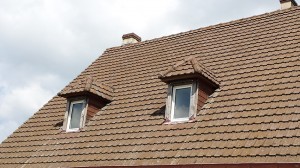 zingurie et couverture lucarne de toit (avant)